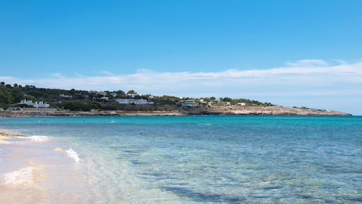 Marina di Felloniche