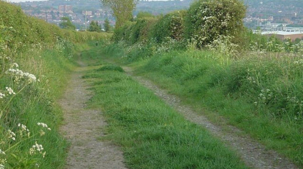 The Tops A ridgeway bridleway leading towards Rotherham.