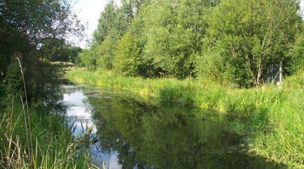 Earl Fitzwilliam's Canal. Earl Fitzwilliam's Canal, or the Fitzwilliam Canal as it is sometimes called is a half mile long spur off the Rotherham Cut. Navigable access to the Rotherham Cut is now blocked by an embankment supporting the A633, although a pipe still connects the two waterways.