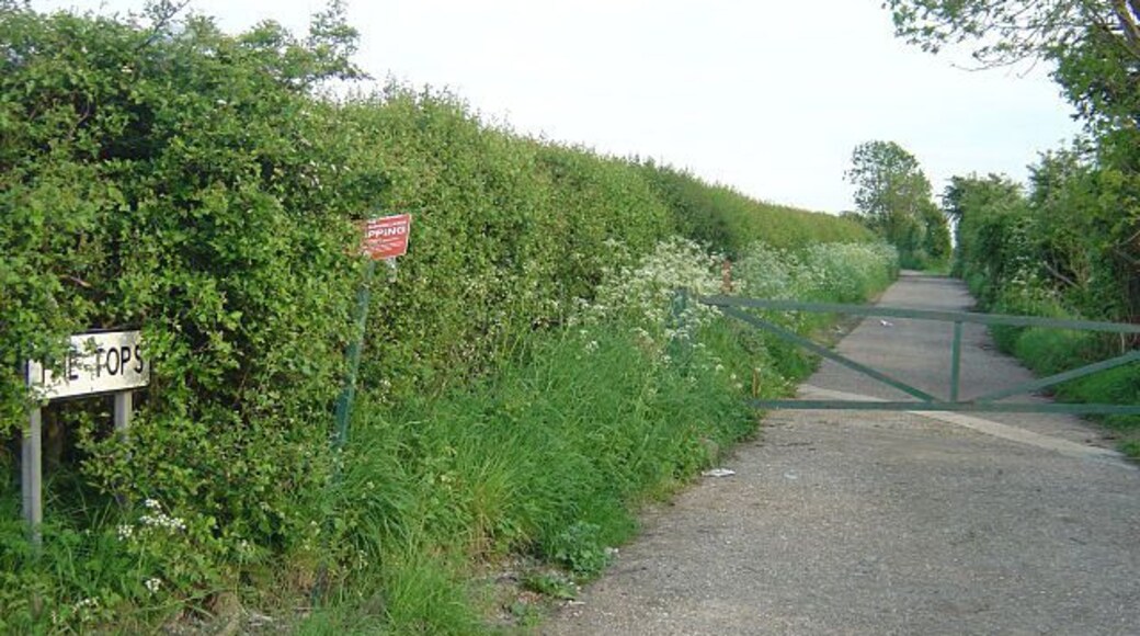 The Tops A fine ridge track leading down between Greasbrough and Rawmarsh towards Rotherham. It is part of the Rotherham Round Walk.