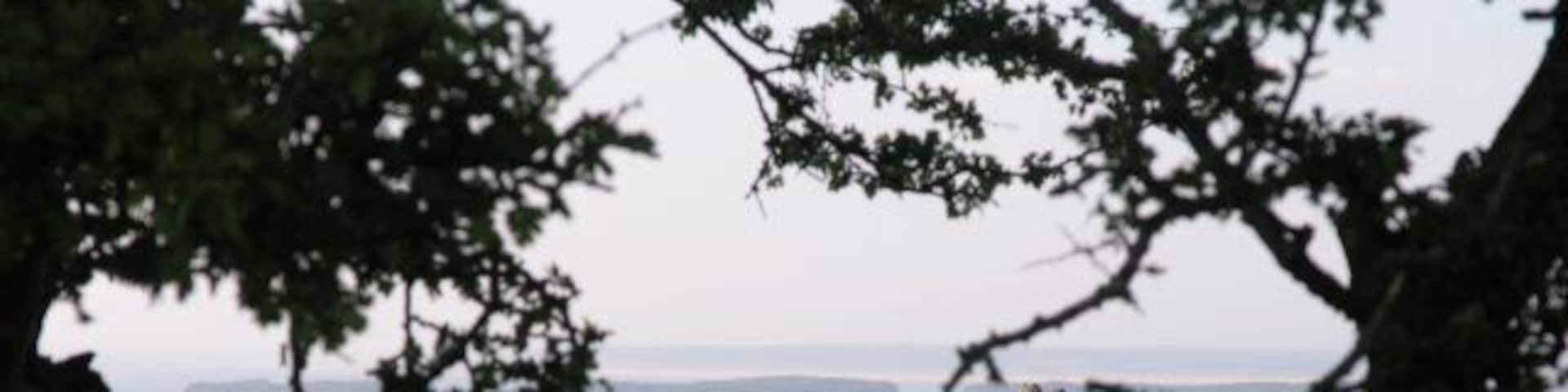 Weobley Castle Weobley castle, framed by trees.
