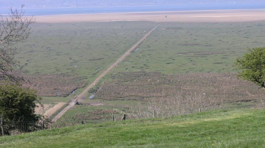 Causeway, taken from the castle The causeway that runs all the way to the estuary through the salt marches, taken from Weobly Castle.