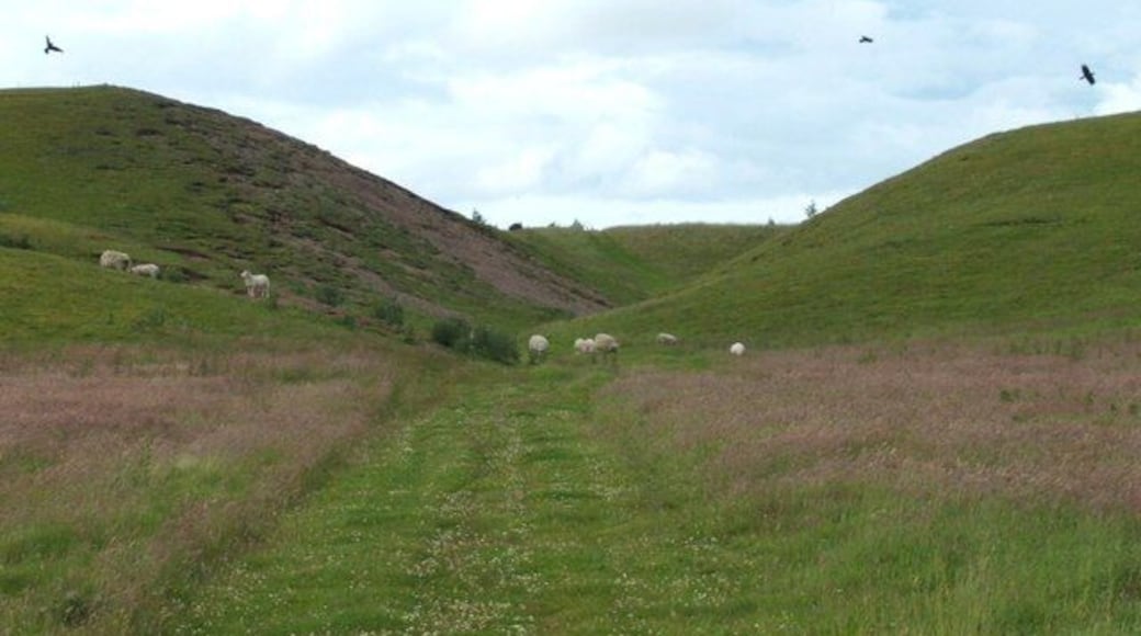 North West from Milton of Panholes Miniature valley just off the minor road. The hillock on left is a skyscraper accommodation for rabbits. The track you can just about make out, continues north into NN8910