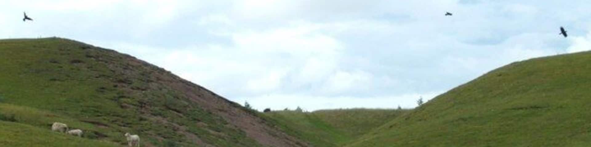 North West from Milton of Panholes Miniature valley just off the minor road. The hillock on left is a skyscraper accommodation for rabbits. The track you can just about make out, continues north into NN8910