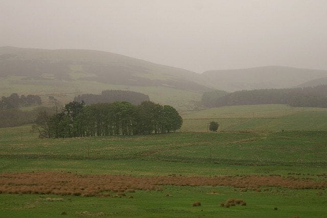 Strathallan at Blackford The damp rushy field in the foreground is an indication of the altitude, just below 150m asl, while the clump of trees hide the small farm at Drumhead. Rain is starting to obscure the Ochil Hills, good news for the Highland Spring water-bottling factory from where this photograph was taken.