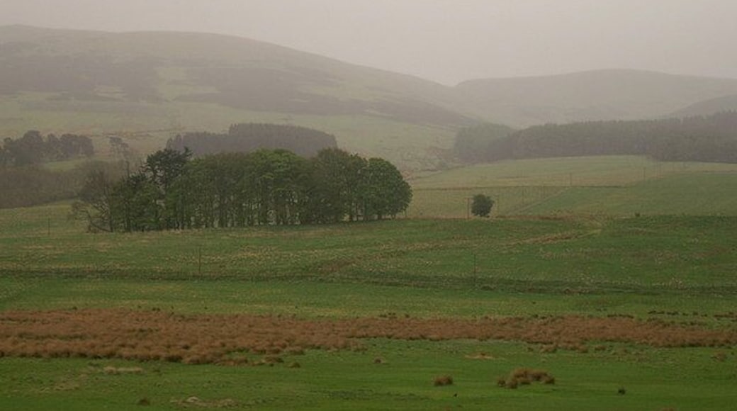 Strathallan at Blackford The damp rushy field in the foreground is an indication of the altitude, just below 150m asl, while the clump of trees hide the small farm at Drumhead. Rain is starting to obscure the Ochil Hills, good news for the Highland Spring water-bottling factory from where this photograph was taken.