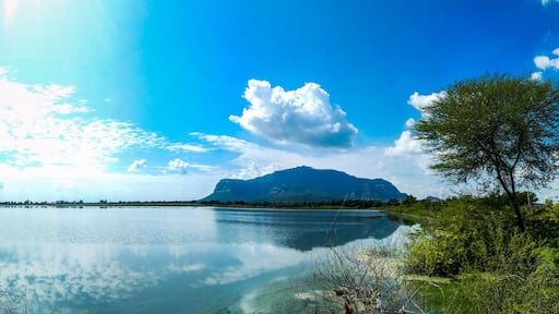 Pavagadh mountain and Vadatalav Lake also known as Pavagadh lake