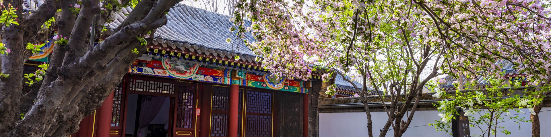 Un edificio tradicional con decoraciones ornamentales y un árbol con flores rosadas al frente.