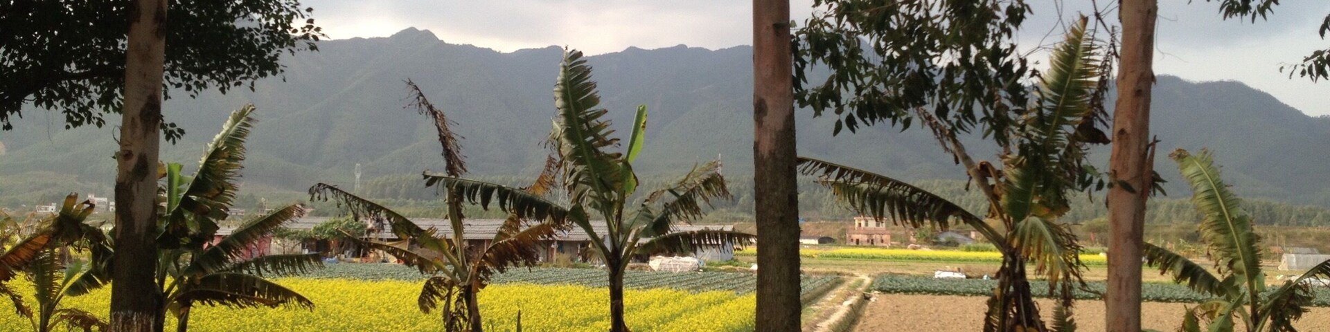 Countryside view