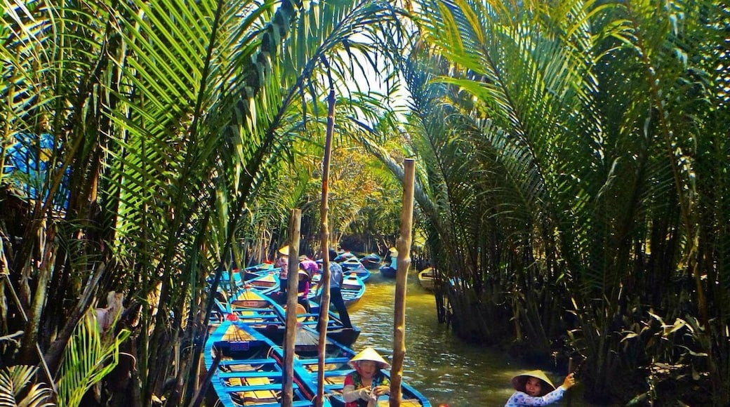 Rows of Boat in Mekong River