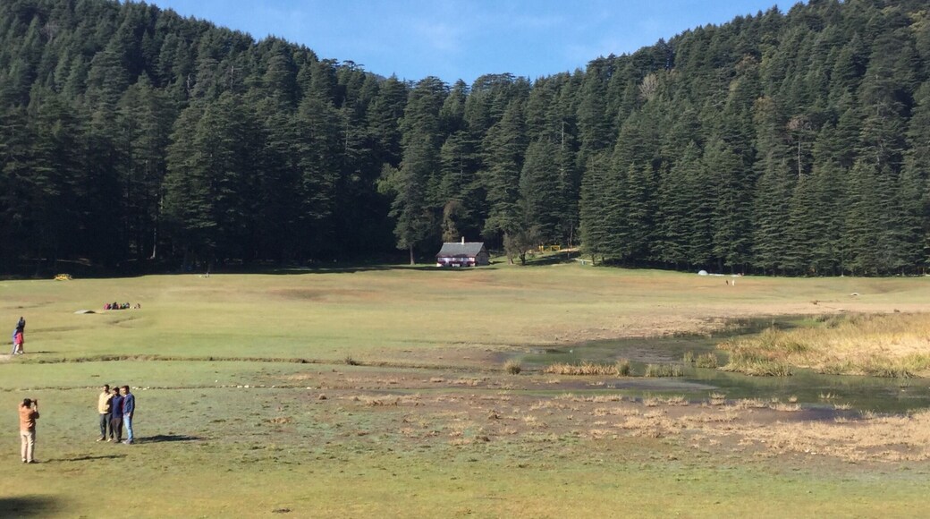 Kajjiar cottage where we stay