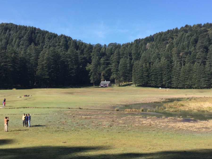 Kajjiar cottage where we stay