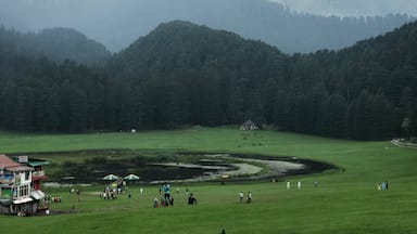 Un campo verde exuberante con un pequeño estanque, rodeado de un bosque denso y montañas.