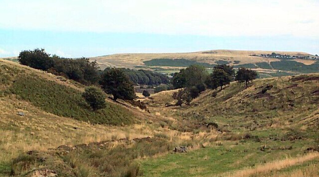Valley of Loadpit Beck. This small valley carrying the infant Loadpit Beck runs eastwards from Heights Lane and eventually becomes Shipley Glen. It marks the southern boundary of the gridsquare. The caravan park on Baildon Moor is seen in the far distance on the right.