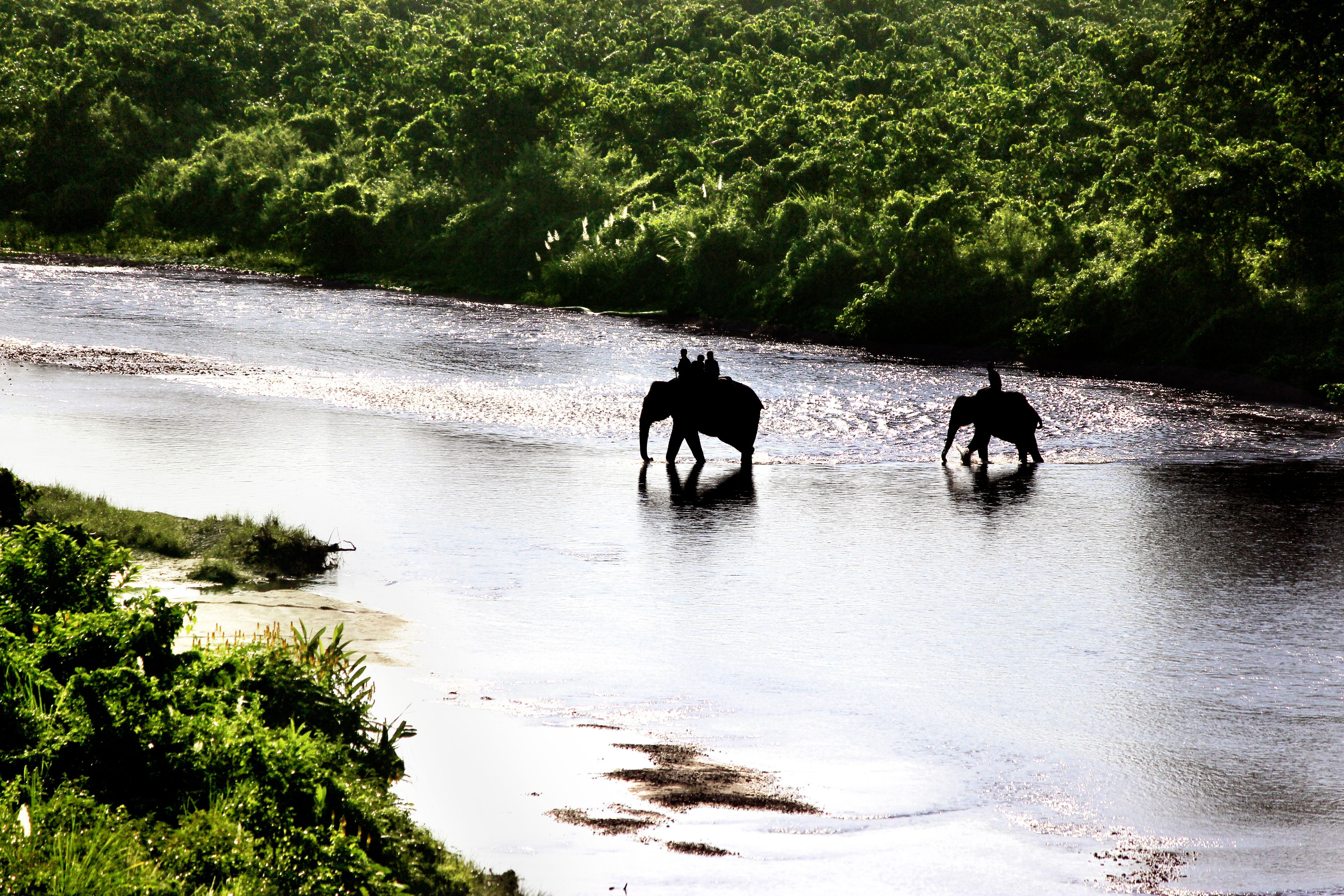 Gorumara National Park