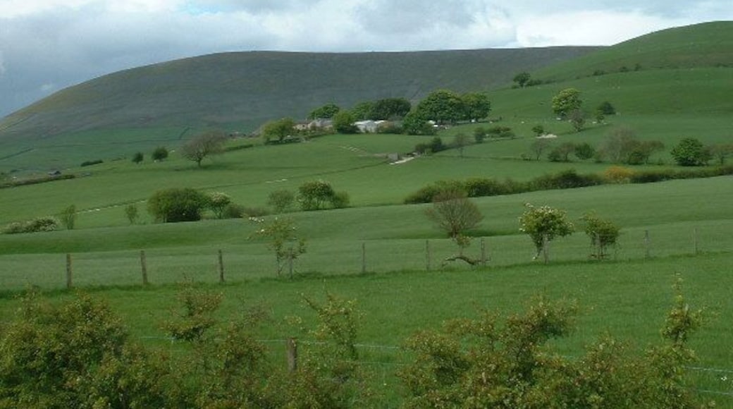 Bleasdale