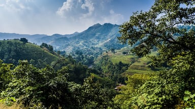 A lush valley with terraced fields and distant mountains under a partly cloudy sky.