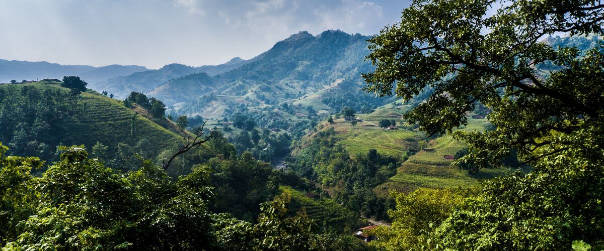 A lush valley with terraced fields and distant mountains under a partly cloudy sky.