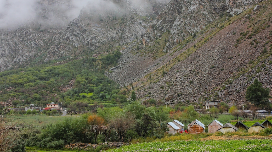 0_f4f0f0f5-3e98-4bb5-bc9e-ffe7b32dad52_raw