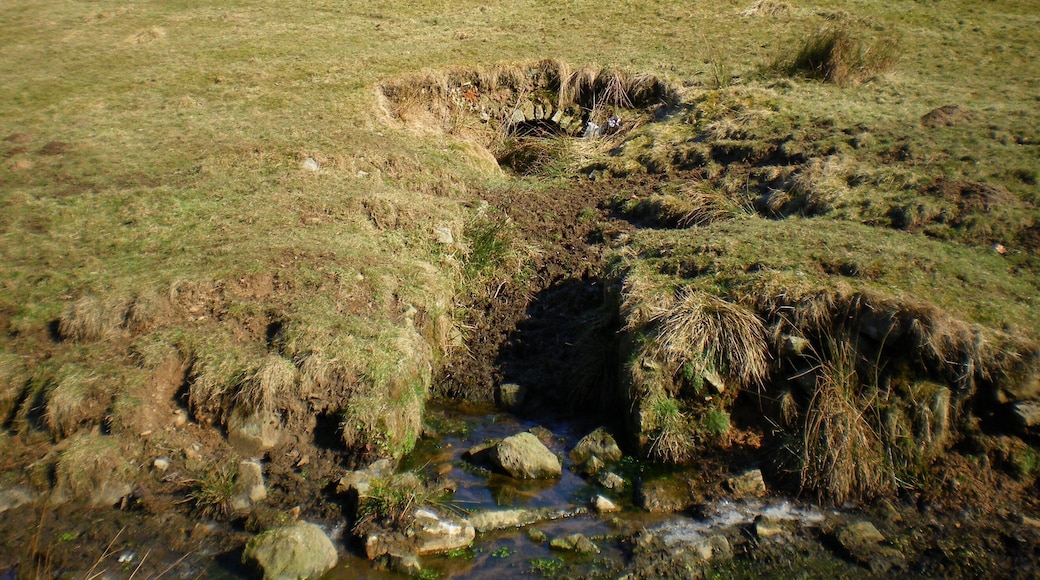 Ruska Mine Level Part of Appletreewick's lead mines. There is another level about 200m WSW, Low Level, but it has been reconstructed as a water outflow conduit.