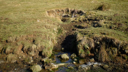 Ruska Mine Level Part of Appletreewick's lead mines. There is another level about 200m WSW, Low Level, but it has been reconstructed as a water outflow conduit.