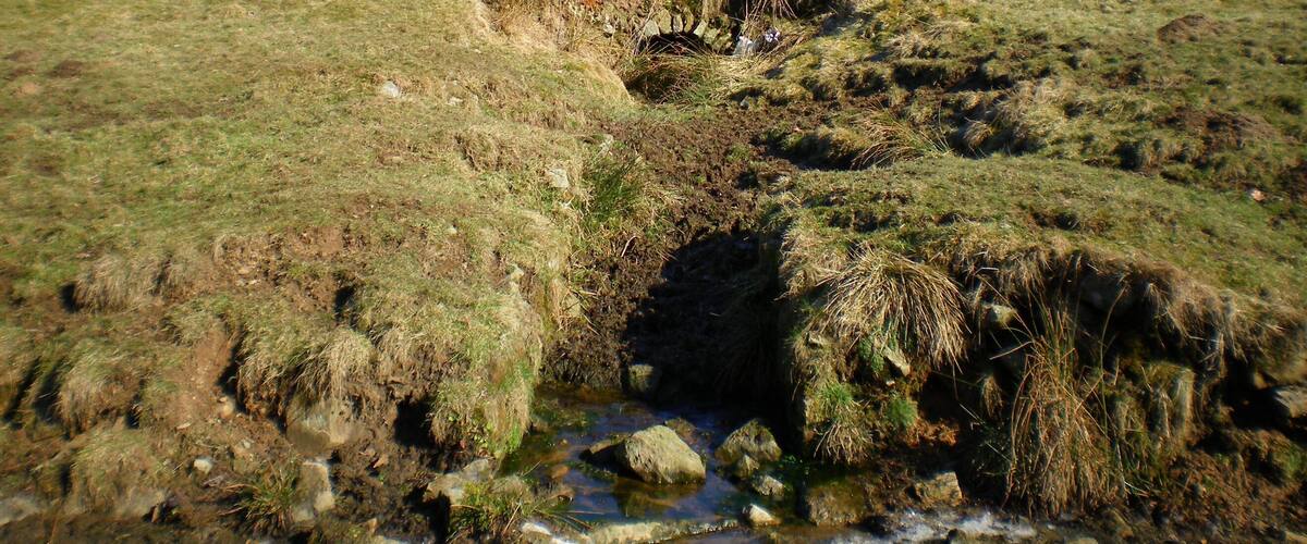 A grassy hillside with a small stream flowing through a rocky area.