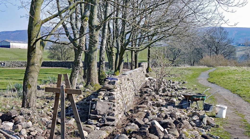 Dry-stone walls are an integral feature of the Yorkshire Dales. Whilst you will often see them being repaired it is more unusual to see a new one being built.
Here at Appletreewick I was fortunate to see a craftsman building this wall. I could only admire his skill. Whilst he finished the wall with a mortared coping, the wall itself is "dry".