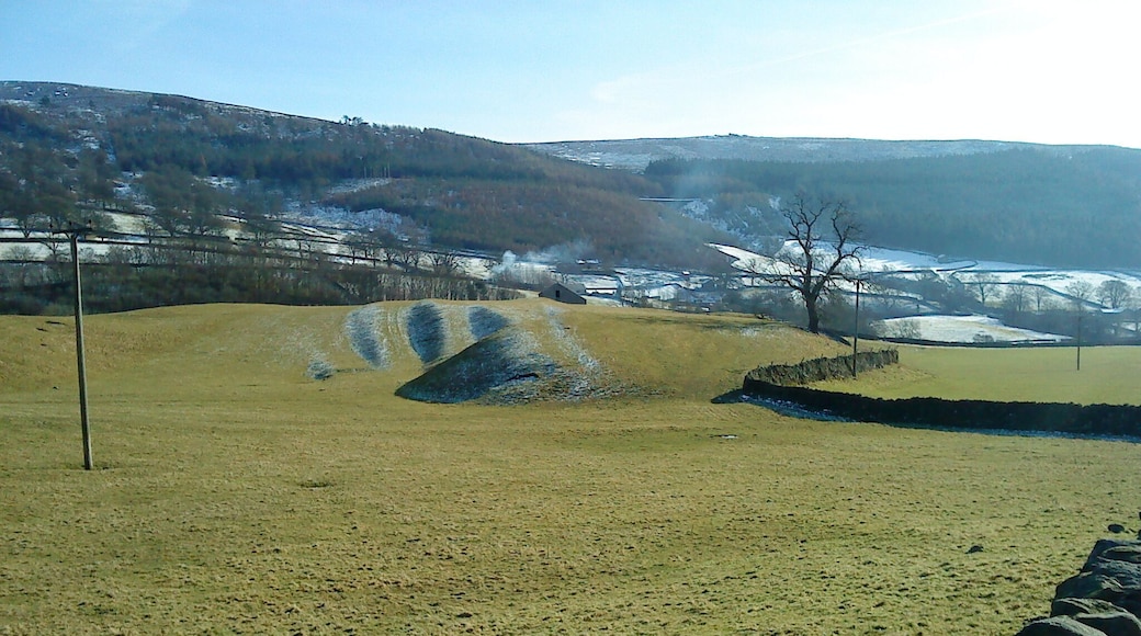 Strip Lynchets in the sun. On a few of the low mounds of glacial moraines that were formed in this area after the last Ice Age, medieval man cut ploughing platforms to grow his crops. This was in turn given over to sheep which has helped preserve the evidence of these ancient farming methods.