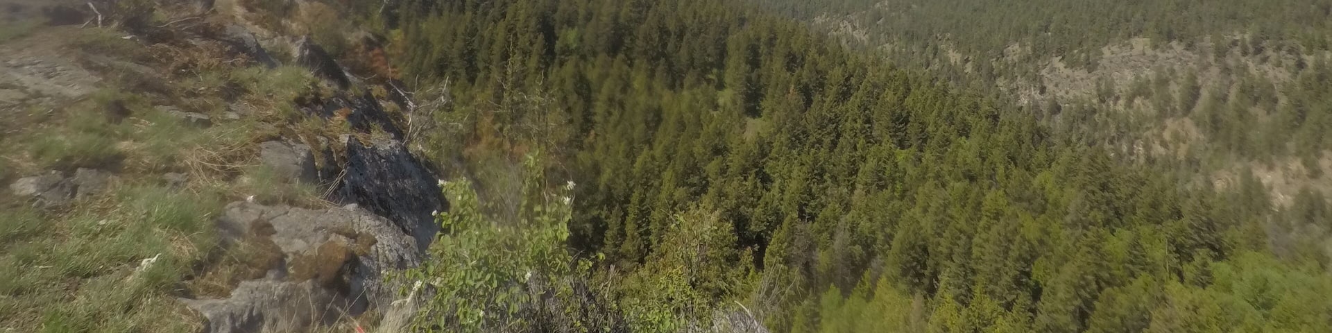 quite the trek up, but worth it!