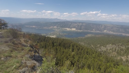 quite the trek up, but worth it!