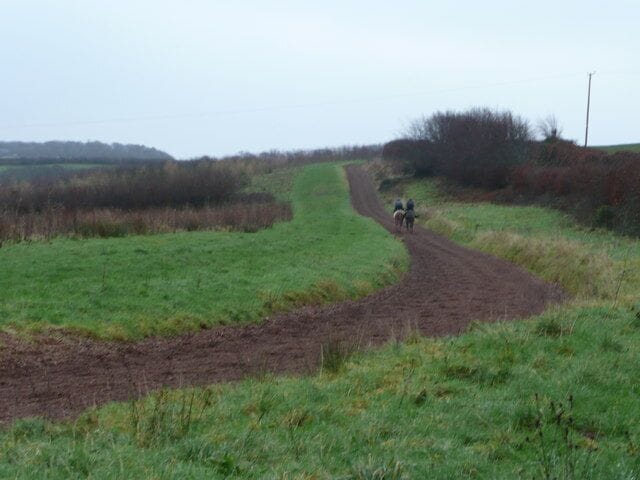 Gallops at Carrier's Lane End A morning gallop in the rain in the west Devon countryside.