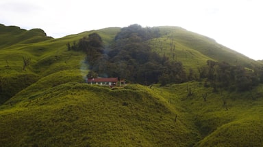 Dzüko Valley base camp, Nagaland