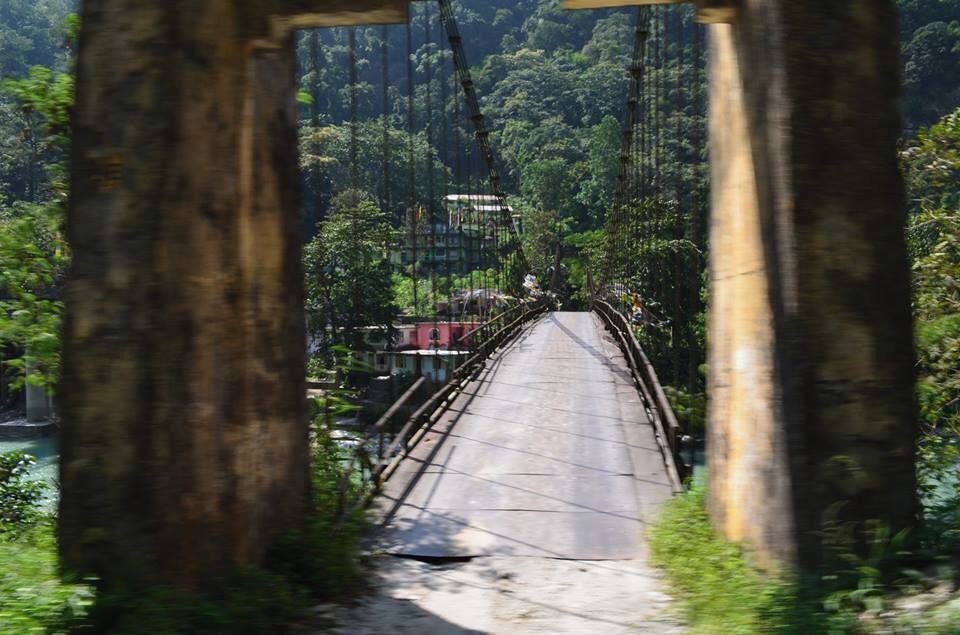 A bridge with a metal railing, surrounded by dense forest and a river.
