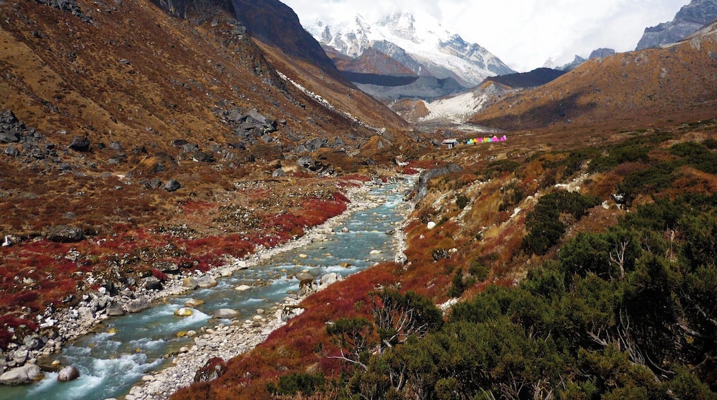 Situated on the western border of India and a less commonly known side of the Himalayas as compared to those of Nepal, Sikkim has a wide array of landscapes and astounding untouched views. The hike, while slightly challenging for a novice like me, still provided for an amazing experience of a lifetime. More on my experience at http://www.koalatravelstheworld.com/2015/07/things-nobody-tells-you-about-hiking/