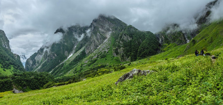 Beautiful Trek in Uttarakhand called Valley of Flowers in Himalayas, Nanda Devi biosphere national park, amazing landscape, mountains, hills, misty, rain, monsoons, flowers
