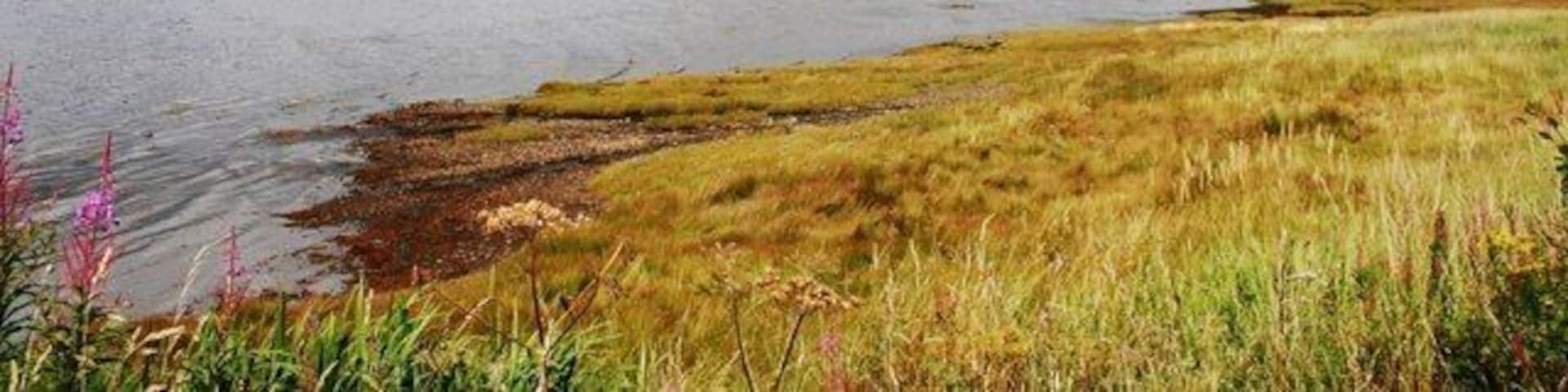 Loch Feochan The landward end of the loch by Kilmore.