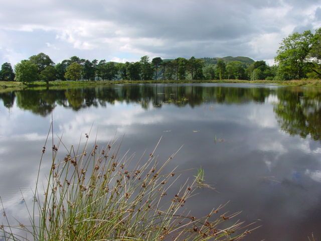Man Made Lake. This is a man made lake which doesn't appear on current maps (2005). It was created in 2002.