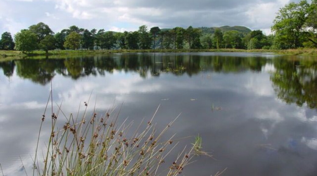 Man Made Lake. This is a man made lake which doesn't appear on current maps (2005). It was created in 2002.