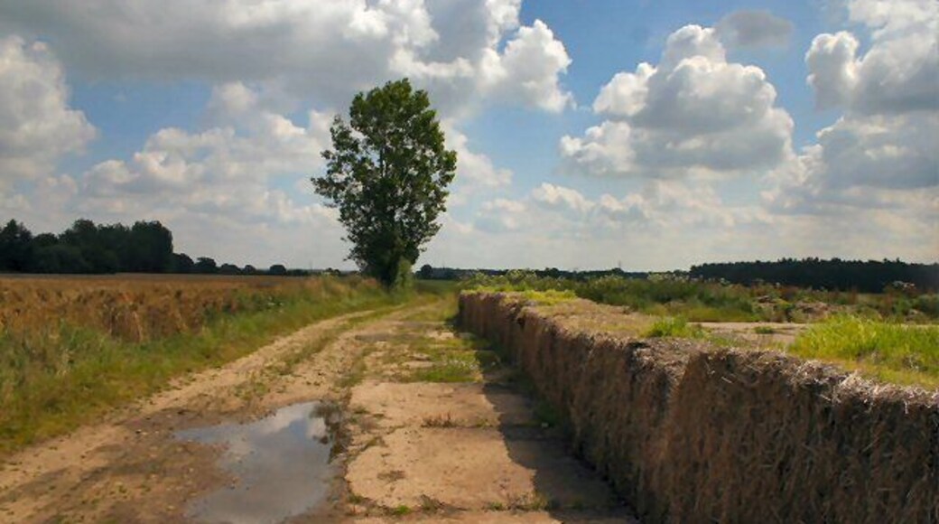 Farm track near Weasenham This track leads eastwards from the minor road between Weasenham All Saints and Litcham Heath.