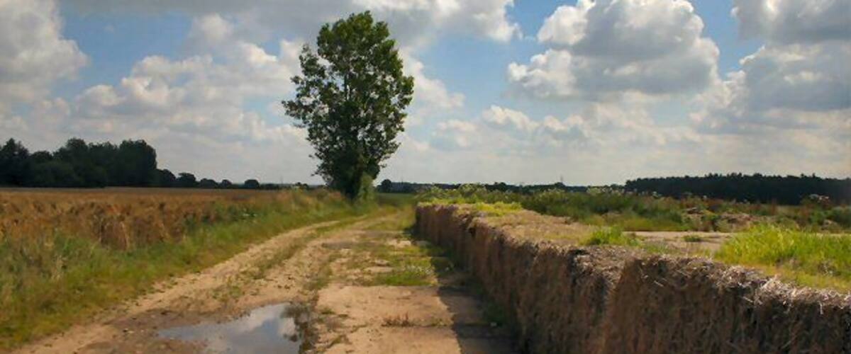 A rural dirt road with puddles, a stone wall, and a solitary tree in the distance.
