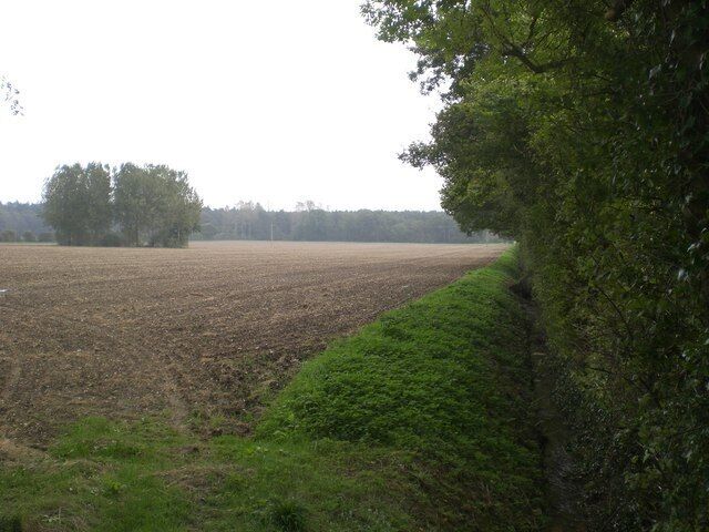 South from Rougham End Along the field boundary with, unusually in this part of the world, a ditch and flowing water.