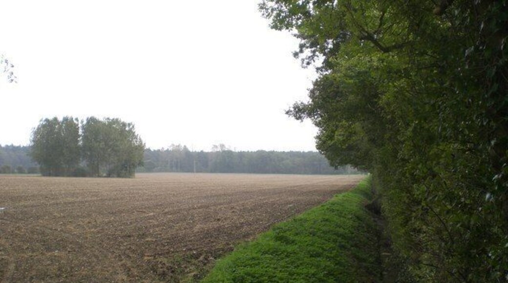 South from Rougham End Along the field boundary with, unusually in this part of the world, a ditch and flowing water.