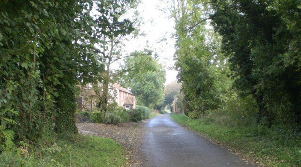 Rougham End View to the east with the garden wall of Weasenham Hall on the right in the distance.