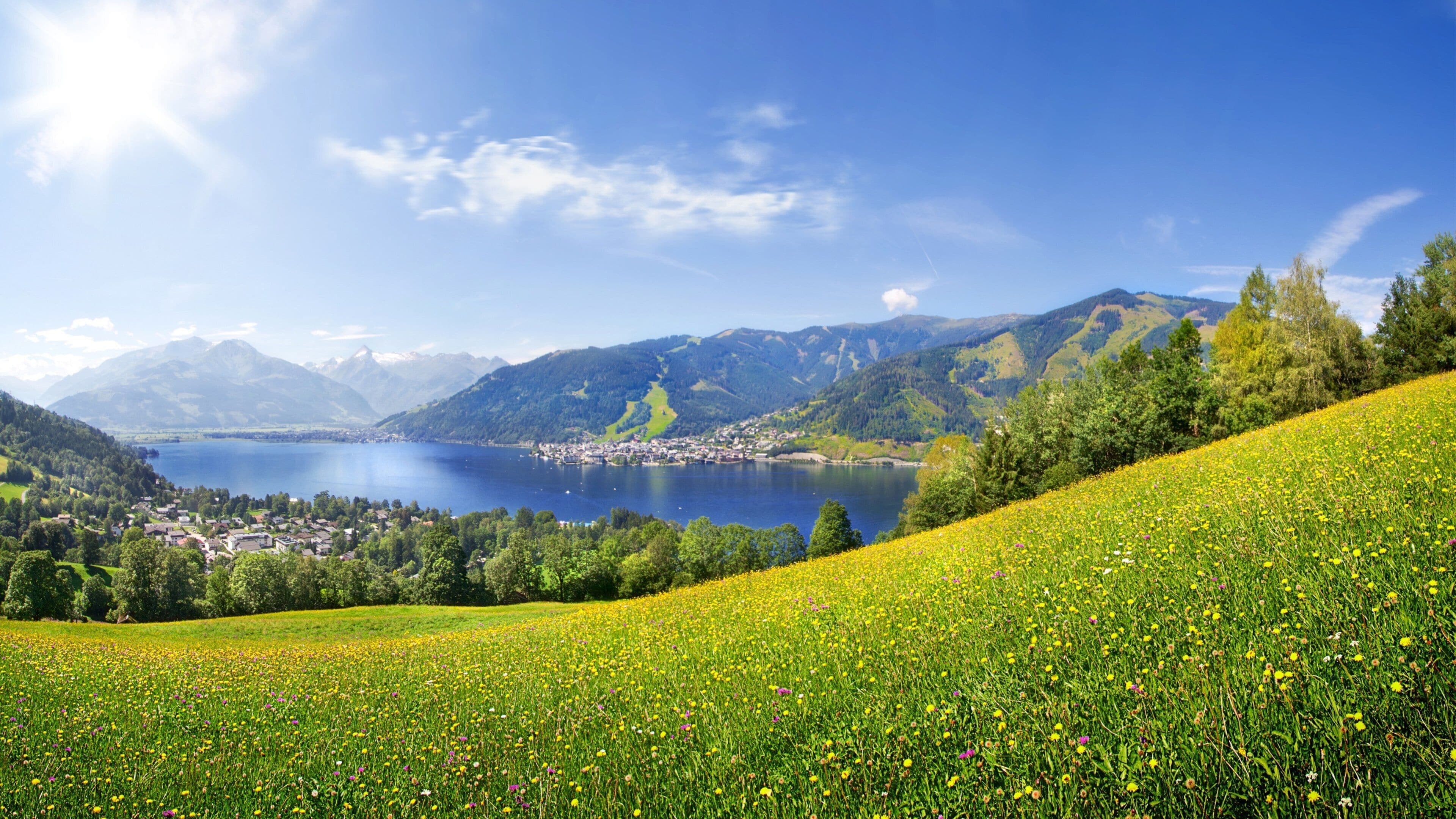 Thumersbach showing tranquil scenes, mountains and wildflowers