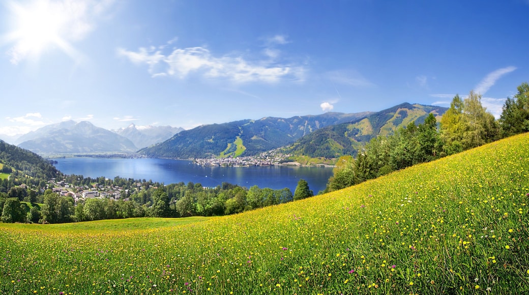 Thumersbach showing tranquil scenes, mountains and wildflowers
