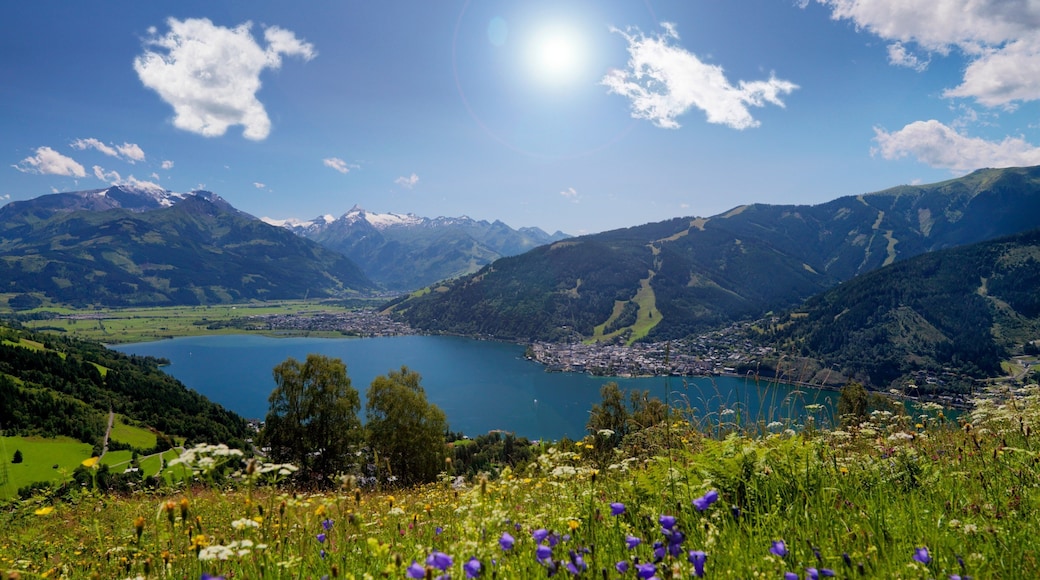 Zell am See som viser fjell, landskap og innsjø