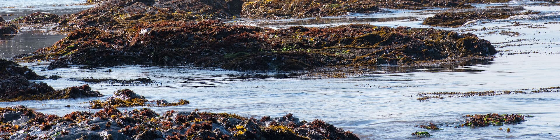 Anchor bay along rugged California coast, with sky, water, and rocks.