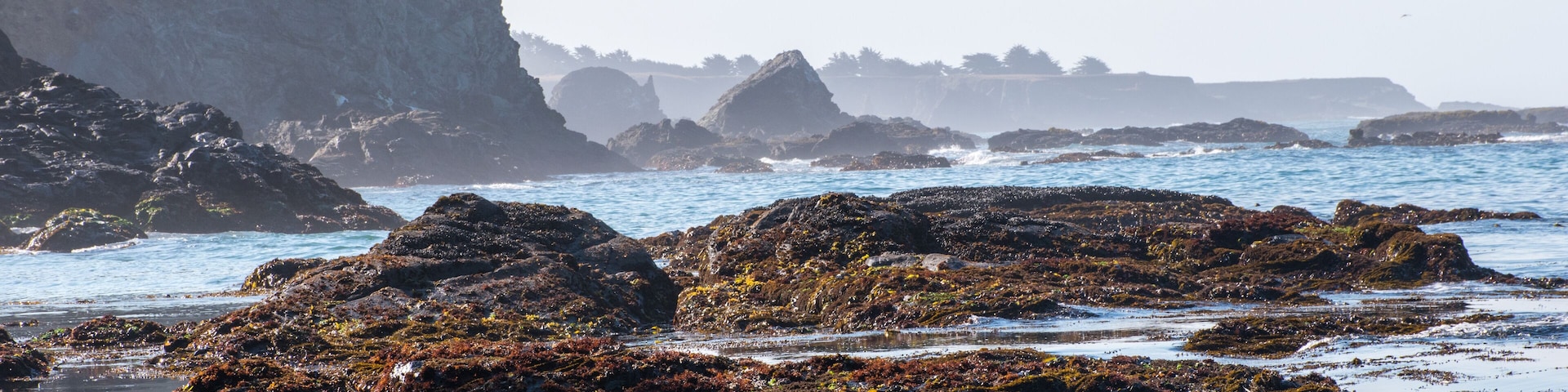 Anchor bay along rugged California coast, with sky, water, and rocks.