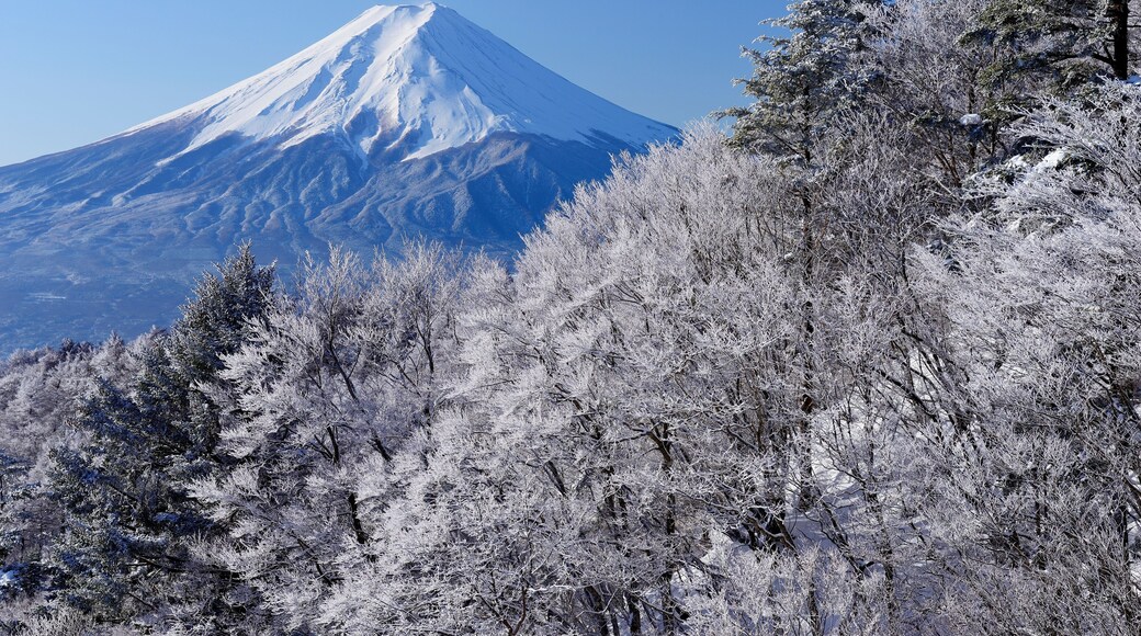 Fog and ice on Mt. Fuji seen from Mitsutoge , Japan,Yamanashi Prefecture,Minamitsuru District, Yamanashi,Fujikawaguchiko, Yamanashi,Nishikatsura, Yamanashi,Tsuru, Yamanashi January 2015