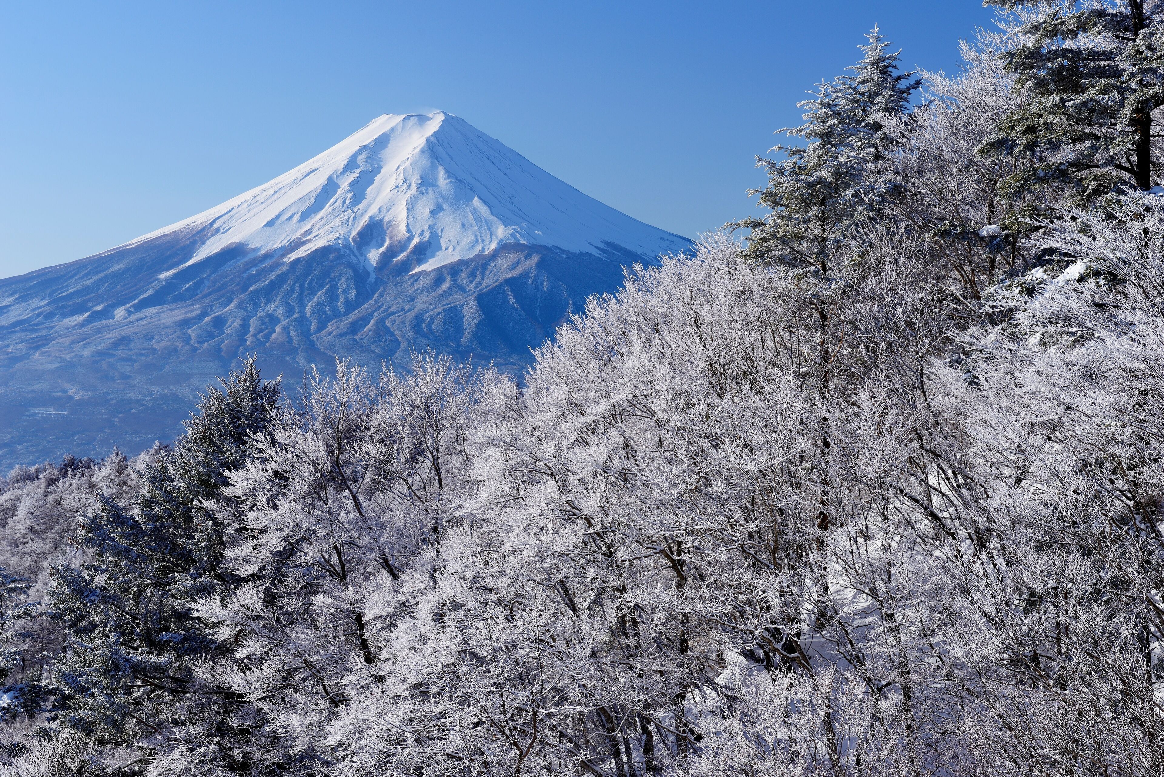 A snow-covered mountain with a clear sky.